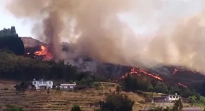 1595402487418090.jpg 640 (1).webp (3).jpg